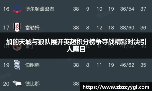 加的夫城与狼队展开英超积分榜争夺战精彩对决引人瞩目